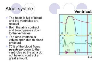 Atrial systole
 The heart is full of blood
and the ventricles are
relaxed
 Both the atria contract
and blood passes down
to the ventricles
 The atrio-ventricular
valves open due to blood
pressure
 70% of the blood flows
passively down to the
ventricles so the atria do
not have to contract a
great amount.
 