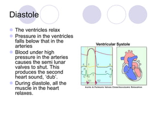 Diastole
 The ventricles relax
 Pressure in the ventricles
falls below that in the
arteries
 Blood under high
pressure in the arteries
causes the semi lunar
valves to shut. This
produces the second
heart sound, ‘dub’.
 During diastole, all the
muscle in the heart
relaxes.
 