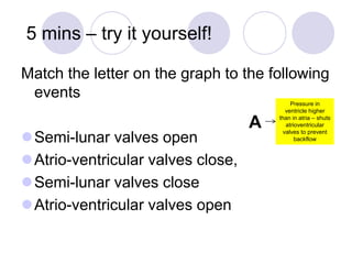 5 mins – try it yourself!
Match the letter on the graph to the following
events
Semi-lunar valves open
Atrio-ventricular valves close,
Semi-lunar valves close
Atrio-ventricular valves open
Pressure in
ventricle higher
than in atria – shuts
atrioventricular
valves to prevent
backflow
A
 