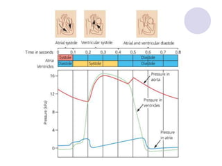 the-cardiac-cycle-1-powerpoint.ppt