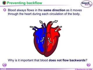© Boardworks Ltd 2004
3 of 49
Preventing backflow
Blood always flows in the same direction as it moves
through the heart during each circulation of the body.
Why is it important that blood does not flow backwards?
 