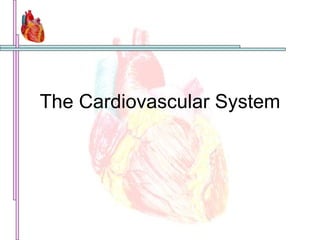 The Cardiovascular System 