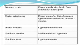 the-cardiovascular-system-Blood-vessels-and-circulation.pdf