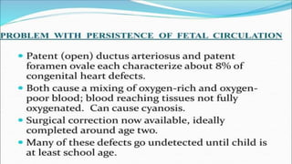 the-cardiovascular-system-Blood-vessels-and-circulation.pdf