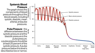 SystemicBlood
Pressure
Thegraphshowsthe
componentsofblood
pressurethroughoutthe
bloodvessels,including
systolic,diastolic,mean
arterial,andpulse
pressures.
PulsePressure-the
differencebetweenthe
systolicpressureandthe
diastolicpressureisthe
pulsepressure.
apulsepressureshouldbe
atleast25percentofthe
systolicpressure.Apulse
pressurebelowthislevelis
describedaslowornarrow.
 