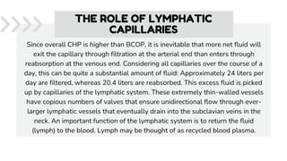 Since overall CHP is higher than BCOP, it is inevitable that more net fluid will
exit the capillary through filtration at the arterial end than enters through
reabsorption at the venous end. Considering all capillaries over the course of a
day, this can be quite a substantial amount of fluid: Approximately 24 liters per
day are filtered, whereas 20.4 liters are reabsorbed. This excess fluid is picked
up by capillaries of the lymphatic system. These extremely thin-walled vessels
have copious numbers of valves that ensure unidirectional flow through ever-
larger lymphatic vessels that eventually drain into the subclavian veins in the
neck. An important function of the lymphatic system is to return the fluid
(lymph) to the blood. Lymph may be thought of as recycled blood plasma.
THE ROLE OF LYMPHATIC
CAPILLARIES
 