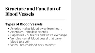 Structure and Function of
Blood Vessels
Types of Blood Vessels
• Arteries - takes blood away from heart
• Arterioles - smallest arteries
• Capillaries - nutrients and waste exchange
• Venules - small blood vessel that carry
blood to a vein
• Veins - return blood back to heart
 