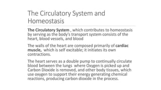 the-cardiovascular-system-Blood-vessels-and-circulation.pdf