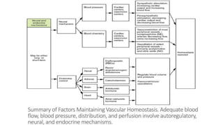 the-cardiovascular-system-Blood-vessels-and-circulation.pdf