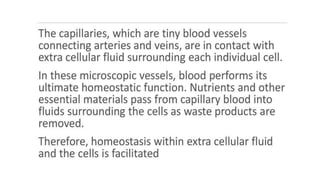 the-cardiovascular-system-Blood-vessels-and-circulation.pdf