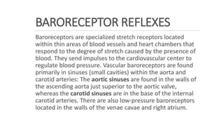 the-cardiovascular-system-Blood-vessels-and-circulation.pdf