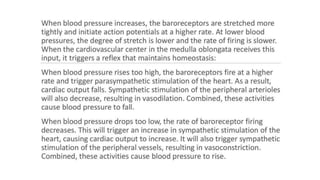 the-cardiovascular-system-Blood-vessels-and-circulation.pdf