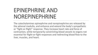 the-cardiovascular-system-Blood-vessels-and-circulation.pdf