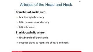 the-cardiovascular-system-Blood-vessels-and-circulation.pdf