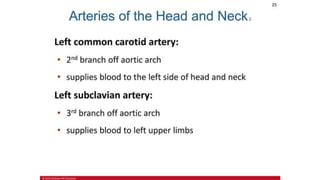 the-cardiovascular-system-Blood-vessels-and-circulation.pdf