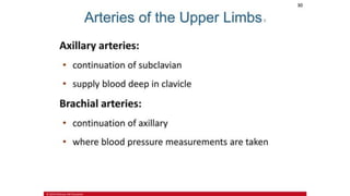the-cardiovascular-system-Blood-vessels-and-circulation.pdf