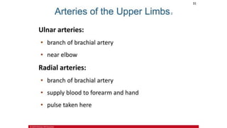 the-cardiovascular-system-Blood-vessels-and-circulation.pdf