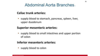 the-cardiovascular-system-Blood-vessels-and-circulation.pdf
