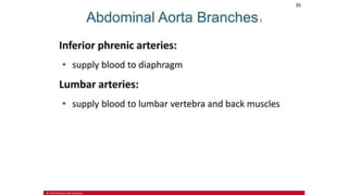the-cardiovascular-system-Blood-vessels-and-circulation.pdf