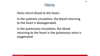 the-cardiovascular-system-Blood-vessels-and-circulation.pdf