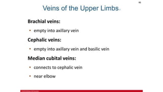 the-cardiovascular-system-Blood-vessels-and-circulation.pdf