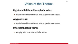 the-cardiovascular-system-Blood-vessels-and-circulation.pdf