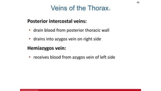 the-cardiovascular-system-Blood-vessels-and-circulation.pdf