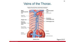 the-cardiovascular-system-Blood-vessels-and-circulation.pdf
