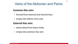 the-cardiovascular-system-Blood-vessels-and-circulation.pdf