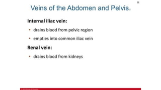 the-cardiovascular-system-Blood-vessels-and-circulation.pdf