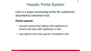 the-cardiovascular-system-Blood-vessels-and-circulation.pdf