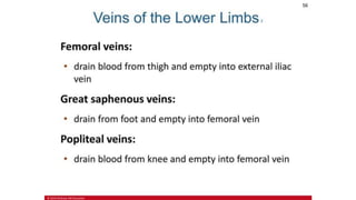 the-cardiovascular-system-Blood-vessels-and-circulation.pdf