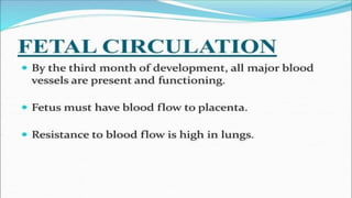 the-cardiovascular-system-Blood-vessels-and-circulation.pdf