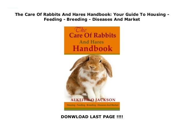 rabbits care and feeding