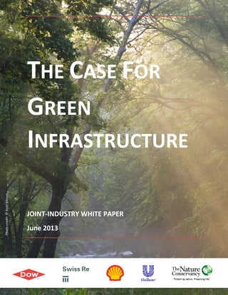 1
was
THE CASE FOR
GREEN
INFRASTRUCTURE
JOINT-INDUSTRY WHITE PAPER
June 2013
Photocredit:©KentMason
 
