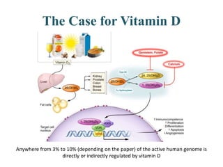 The Case for Vitamin D
Anywhere from 3% to 10% (depending on the paper) of the active human genome is
directly or indirectly regulated by vitamin D
 