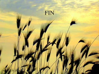 FIN 