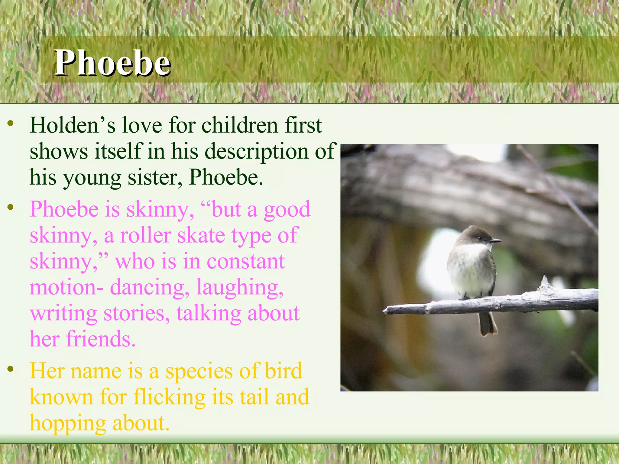 Phoebe Holden’s love for children first shows itself in his description of his young sister, Phoebe.  Phoebe is skinny, “but a good skinny, a roller skate type of skinny,” who is in constant motion- dancing, laughing, writing stories, talking about her friends.  Her name is a species of bird known for flicking its tail and hopping about.  