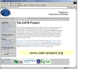 www.cate-project.org 