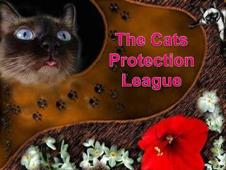 The Cats Protection League