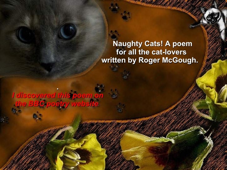 cat protection league