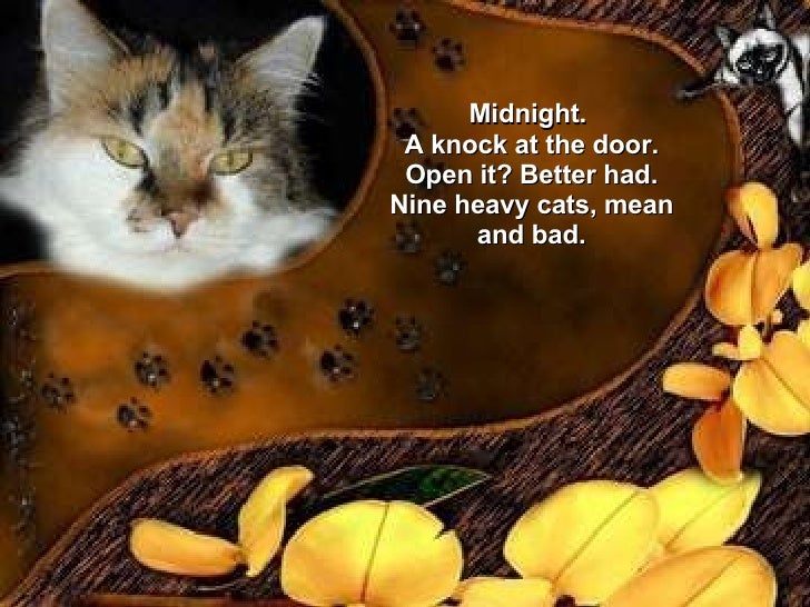 cat protection league