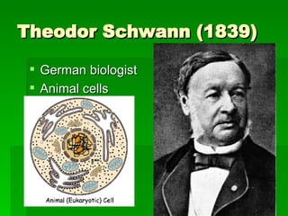 Theodor Schwann (1839) German biologist Animal cells 