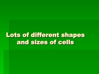 Lots of different shapes and sizes of cells 