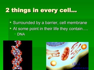 2 things in every cell… Surrounded by a barrier, cell membrane At some point in their life they contain…. DNA 