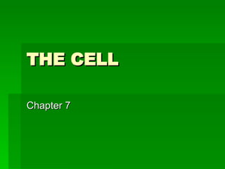 THE CELL Chapter 7 