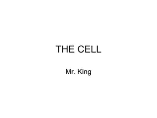 THE CELL Mr. King 