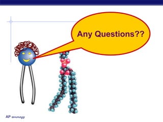 AP Biology
Any Questions??
 