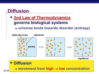 AP Biology
Diffusion
 2nd Law of Thermodynamics
governs biological systems
 universe tends towards disorder (entropy)
 Diffusion
 movement from high  low concentration
 