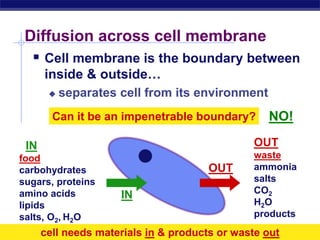 AP Biology
Diffusion across cell membrane
 Cell membrane is the boundary between
inside & outside…
 separates cell from its environment
IN
food
carbohydrates
sugars, proteins
amino acids
lipids
salts, O2, H2O
OUT
waste
ammonia
salts
CO2
H2O
products
cell needs materials in & products or waste out
IN
OUT
Can it be an impenetrable boundary? NO!
 